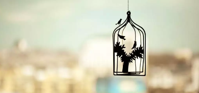 男人出轨 男人出轨