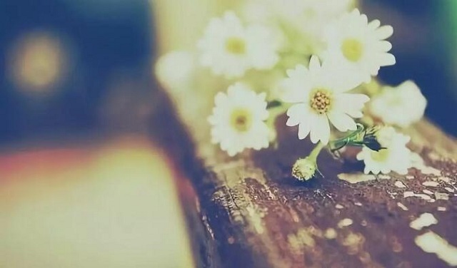 爱燃情感 爱燃情感